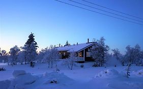 Twin Peaks Urupää A Saariselkä